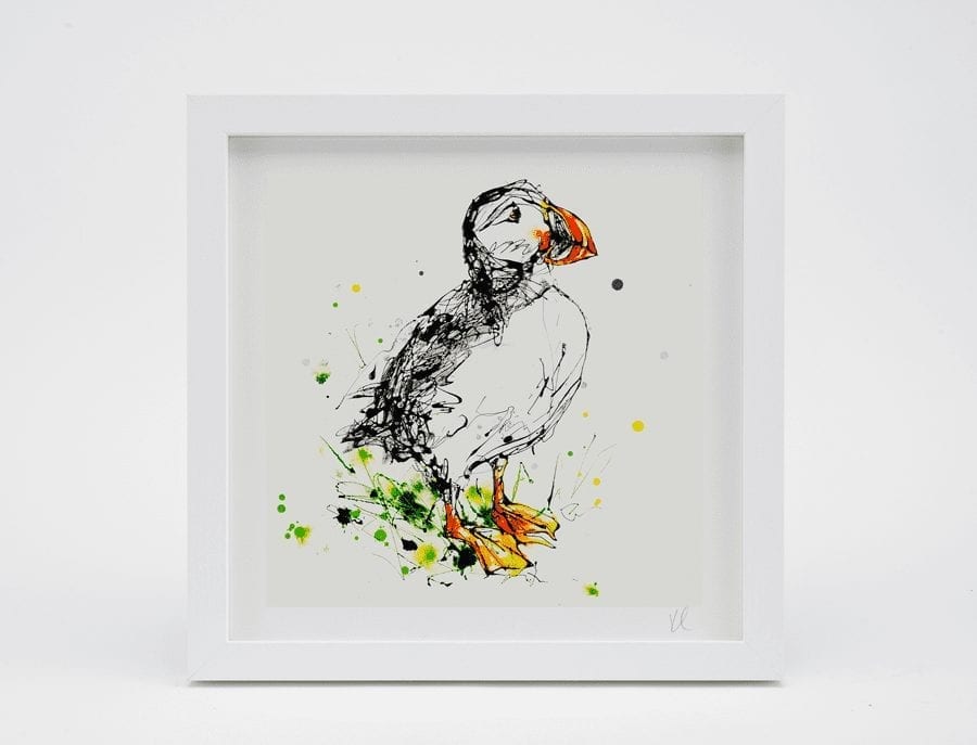 Atlantic Puffin (square edition)