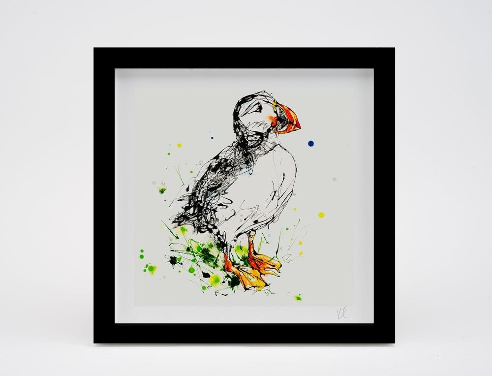 Atlantic Puffin (square edition)