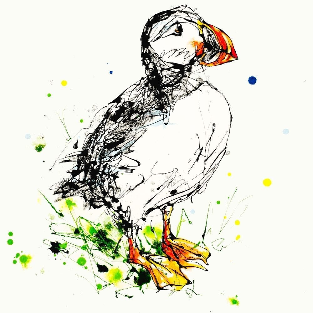 Atlantic Puffin (square edition)