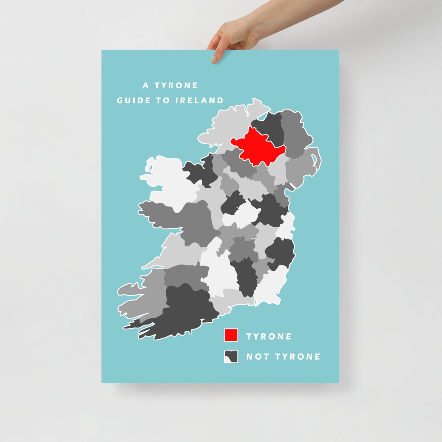 A Tyrone Guide to Ireland (Print)